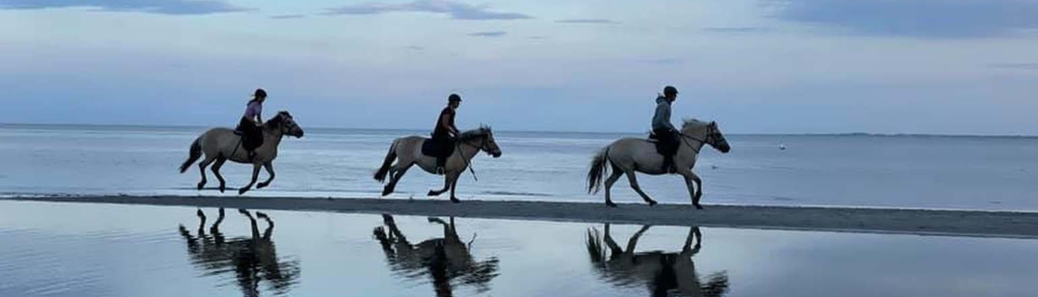 Freizeitreiten Hopp - Strandausritt